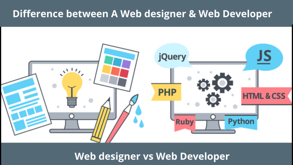 difference between a web designer and web developer