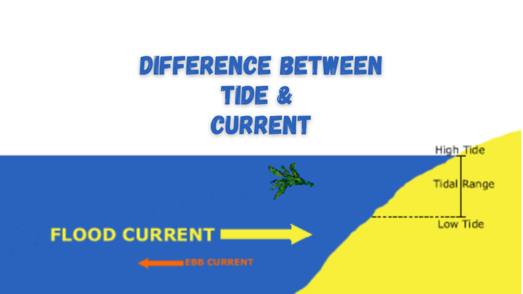 Difference Between Tide & Current